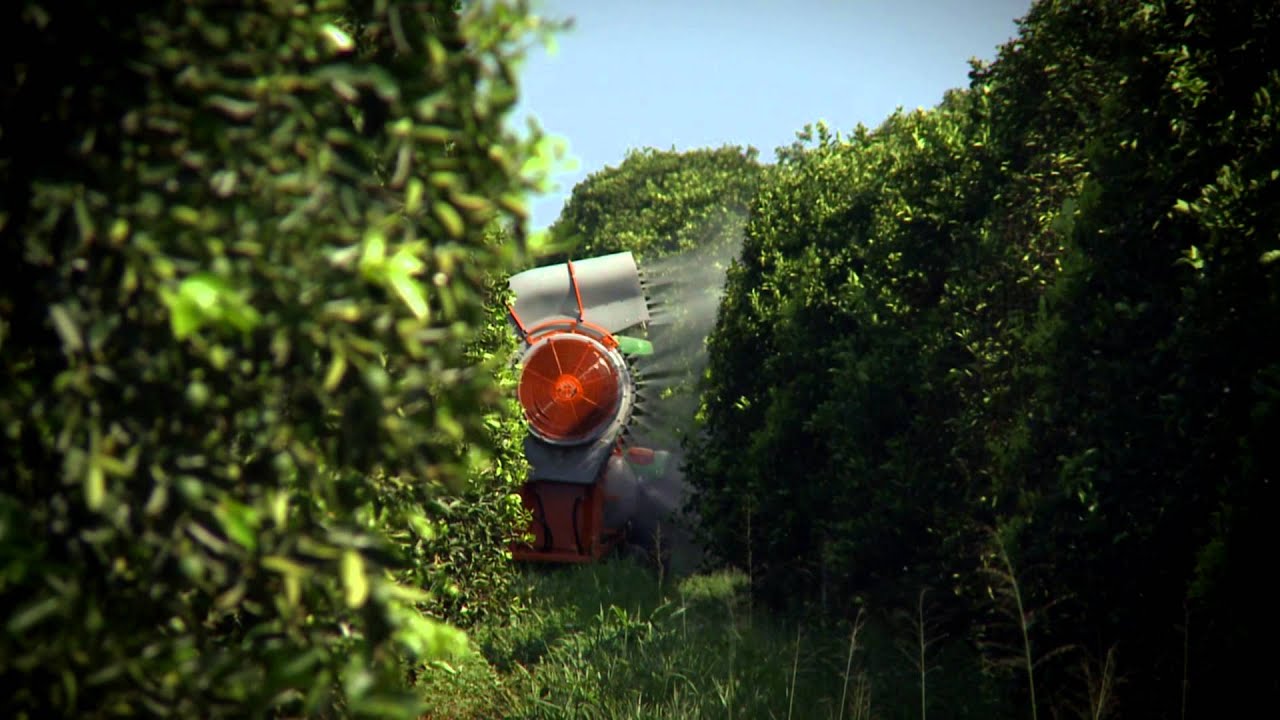 ARBUS 2000 TP - JACTO