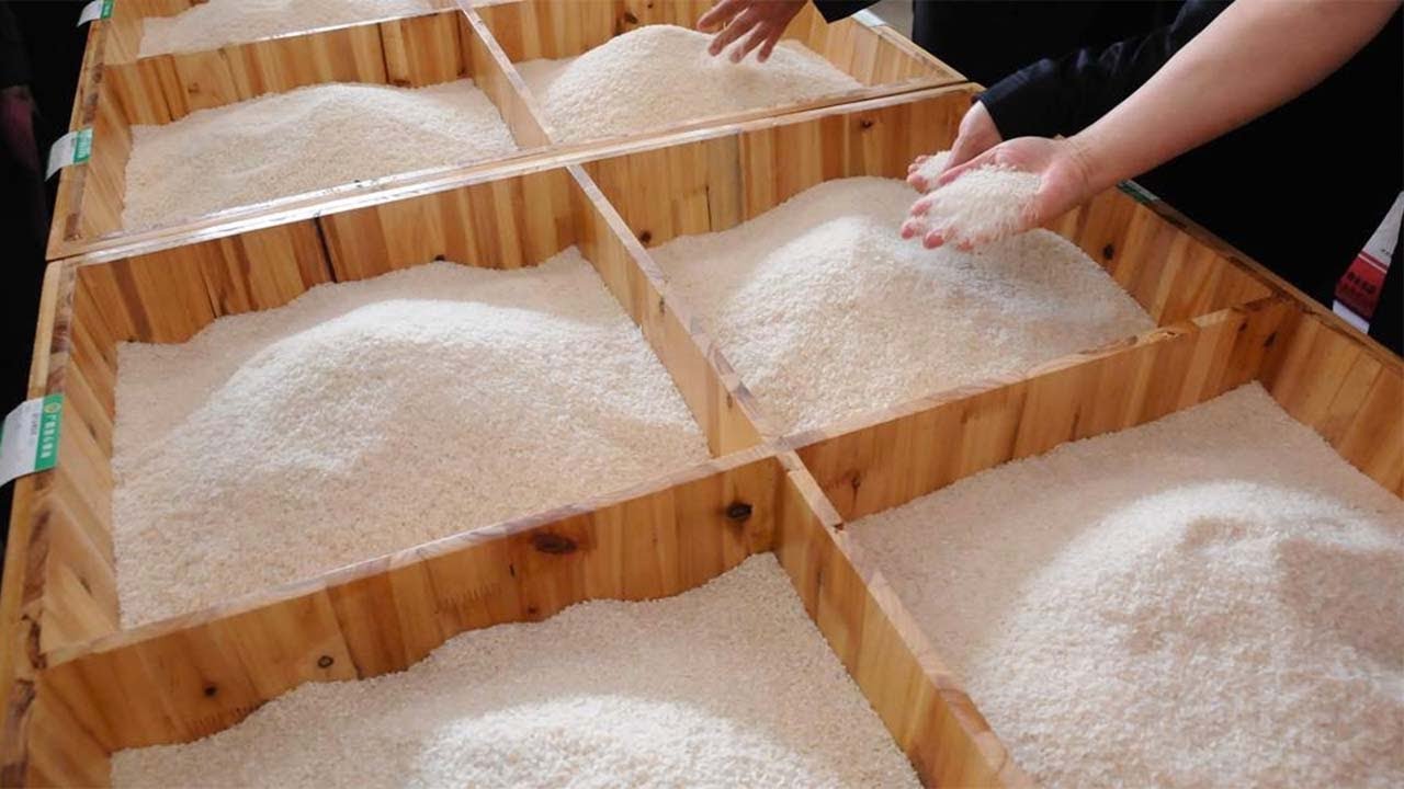 China to allow imports of US rice for first time