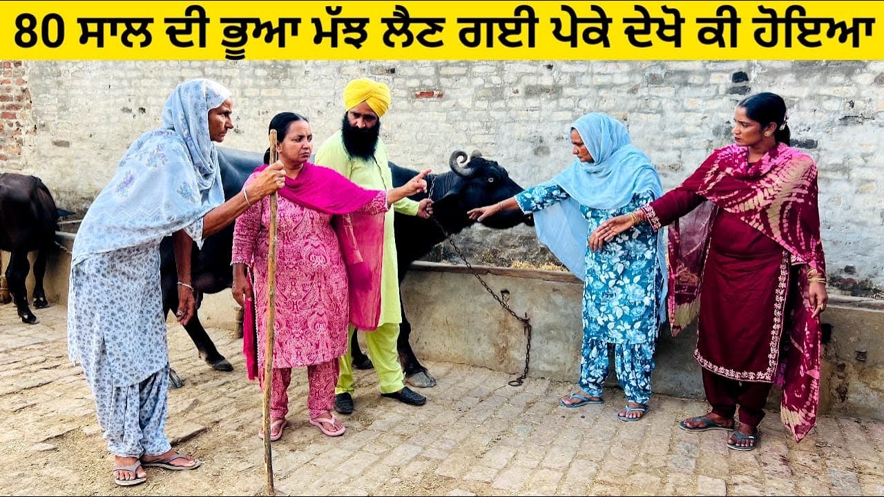 80 ਸਾਲ ਦੀ ਭੂਆ ਮੱਝ ਲੈਣ ਗਈ ਪੇਕੇ ਦੇਖੋ ਕੀ ਹੋਇਆ majh bhua di punjabi short video #sidhufamily #majh #bhua