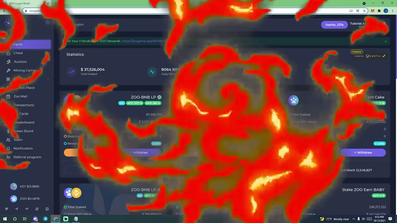 ZooCW NFT Starter Guide
