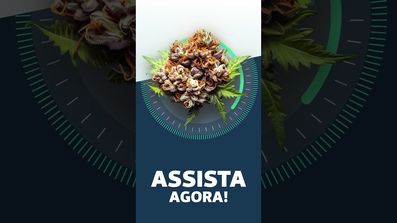 Tangie Chem - Strainview