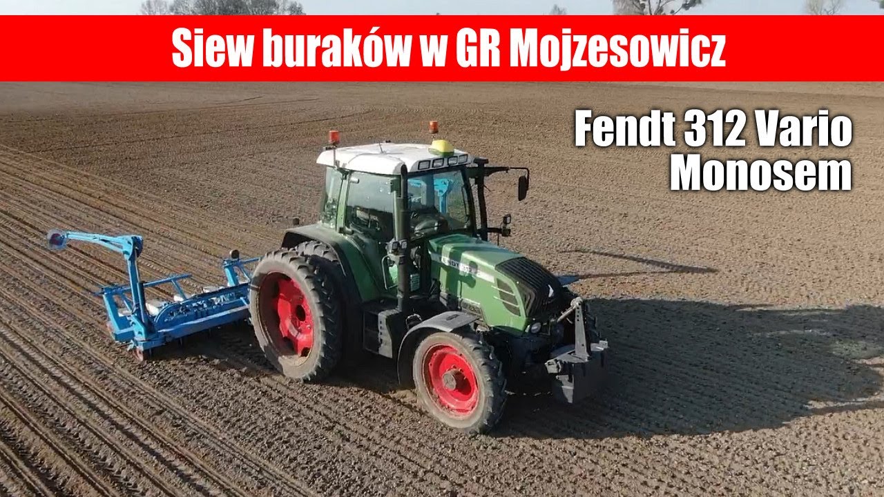 Fendt 312 + Monosem - siew burak&oacute;w w GR Mojzesowicz