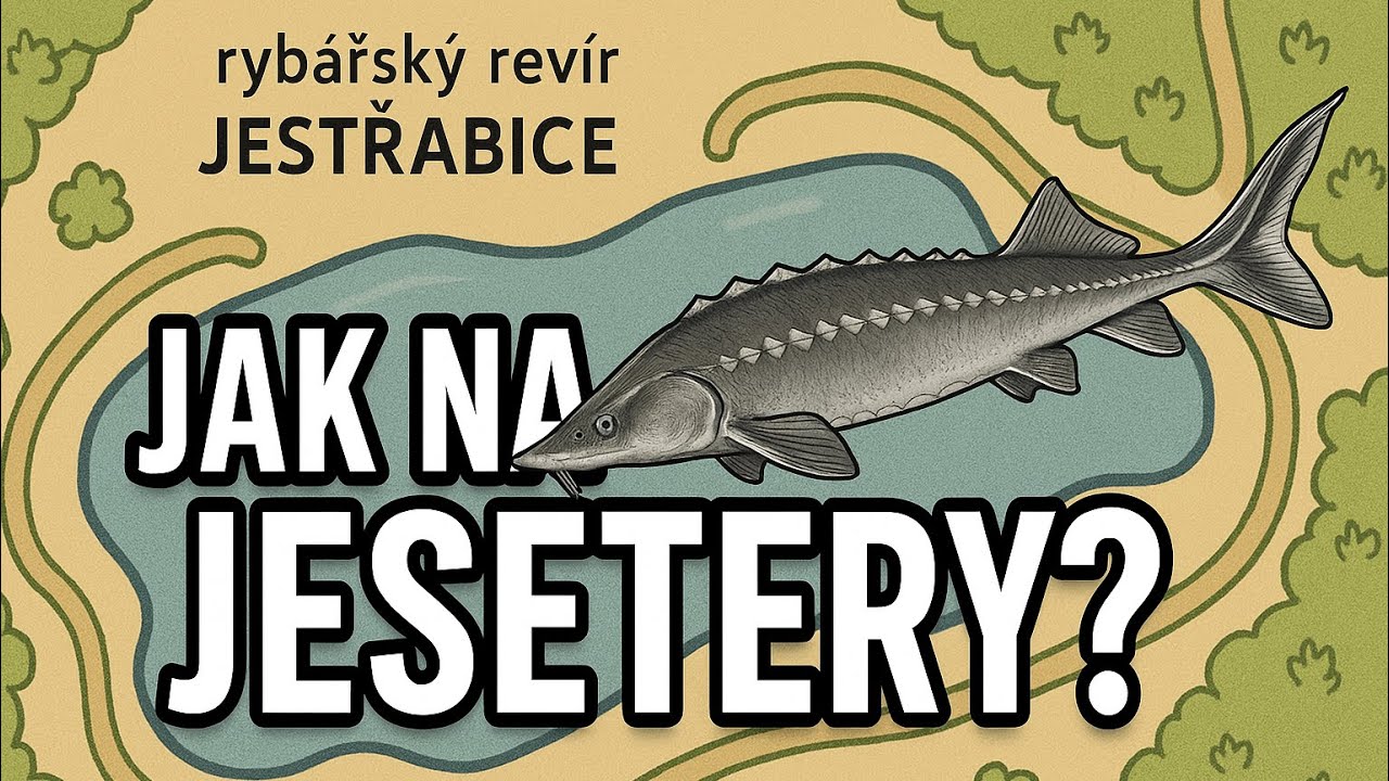 JAK NA JESETERY?