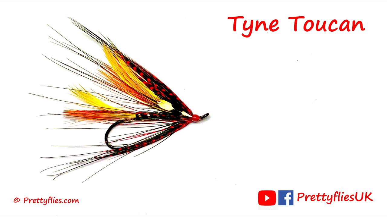 Tying | Tyne Toucan