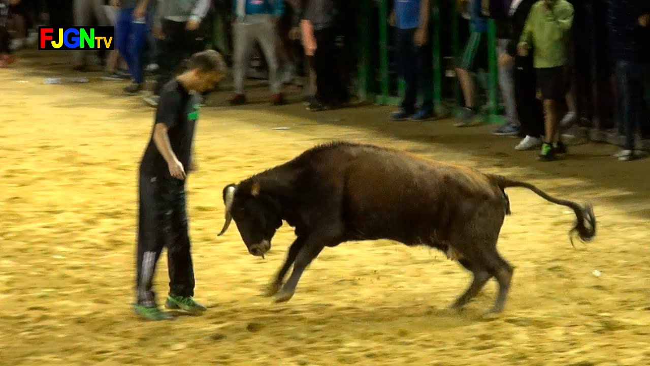 Noche Taurina - La Soledat 2015 - Nules (Castellon) Bous Al Carrer [Toros FJGNtv]