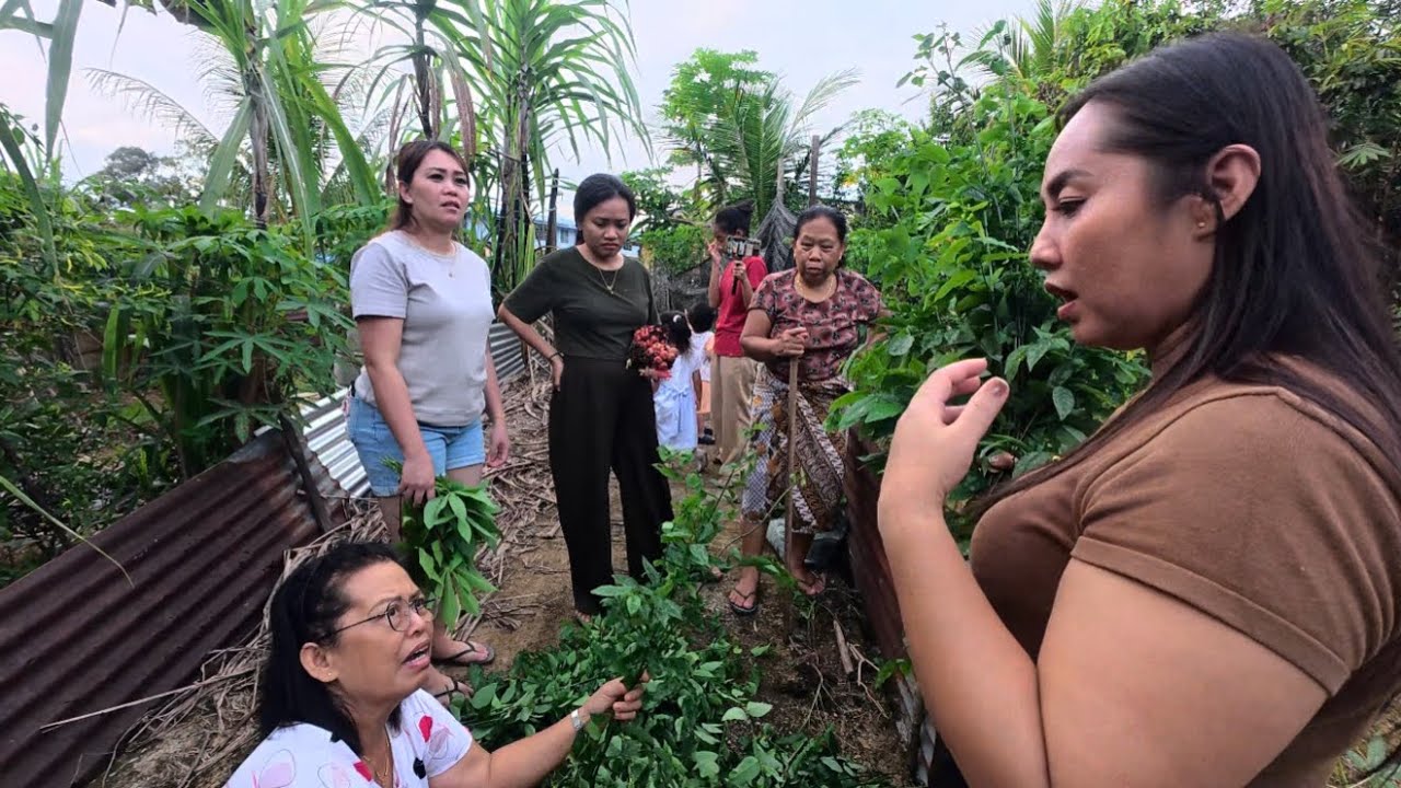 MELAWAT KEBUN INDAI DOM BANYAK SAYUR KAMPUNG | SEDIA UNTUK MASAK MAKAN MALAM