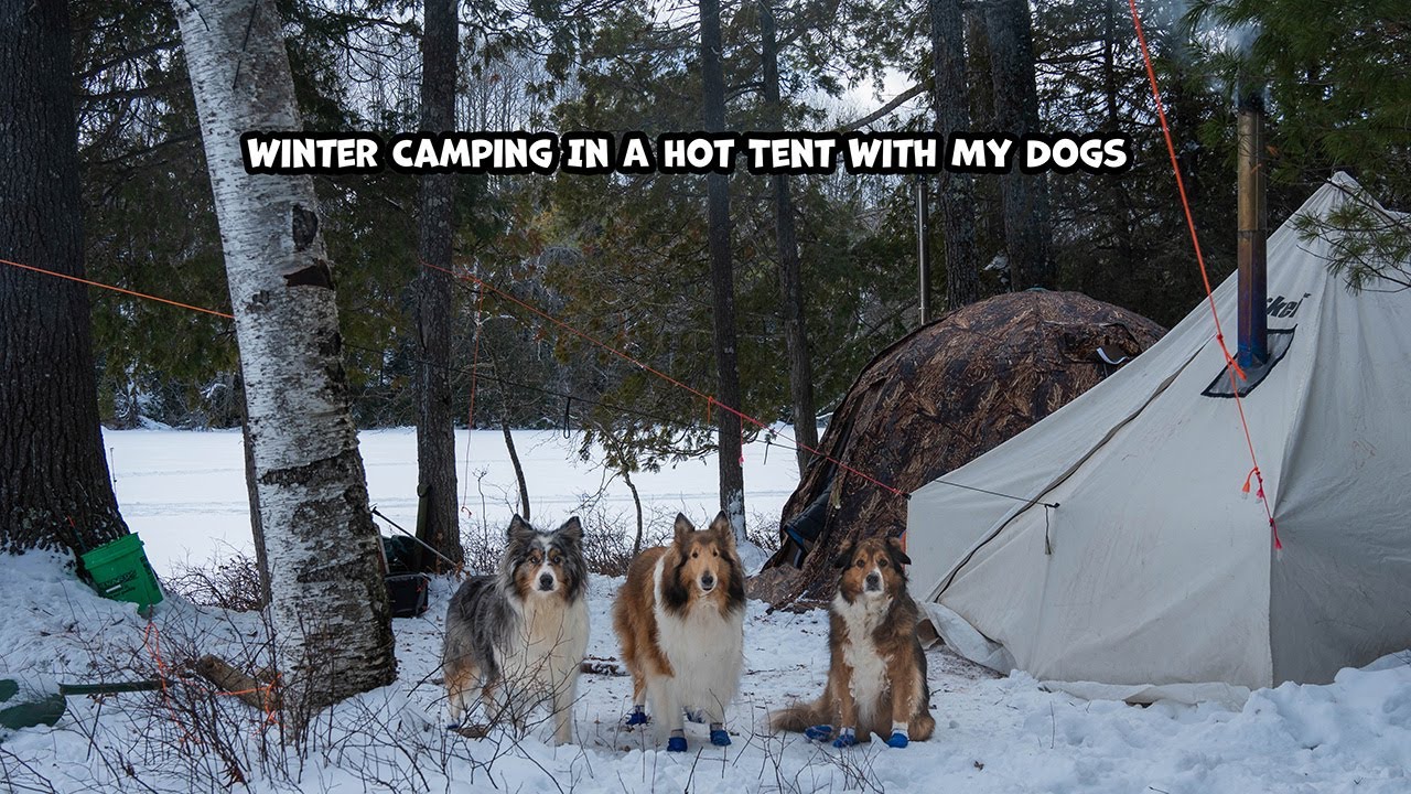 Winter Camping In A Hot Tent With My Dogs For 2 Nights