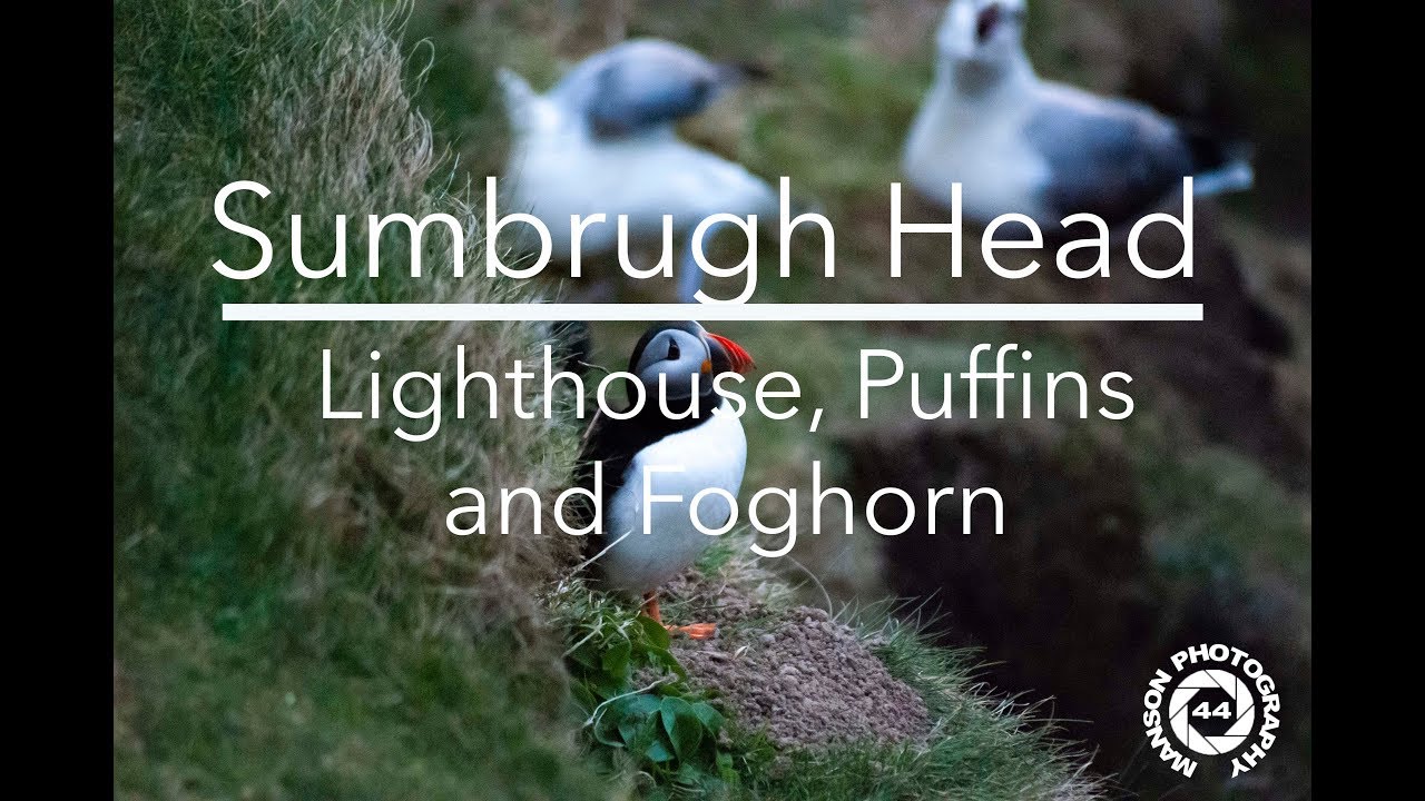Sumburgh Head- Lighthouse Puffins and Foghorn