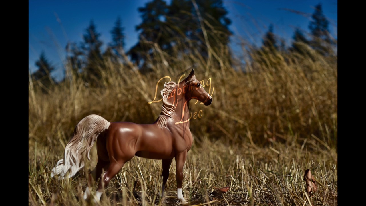 Breyer Model Horse Photography - Fall 2016
