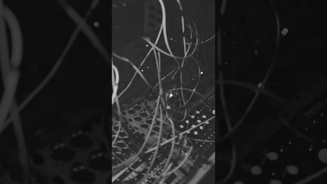 Groovy Loops #eurorack #modular