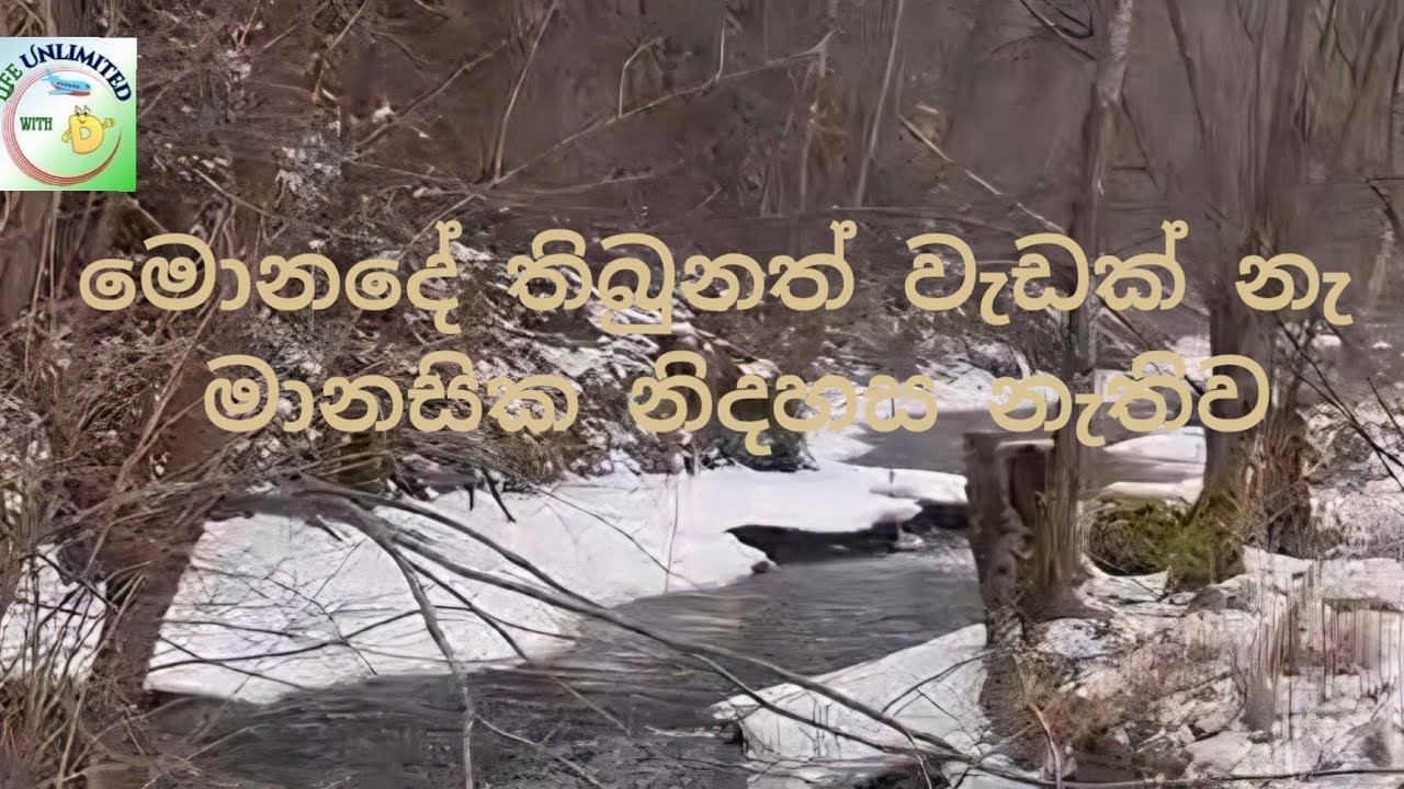 ජීවිතය ලස්සනයි එතකෙොට 👍❤