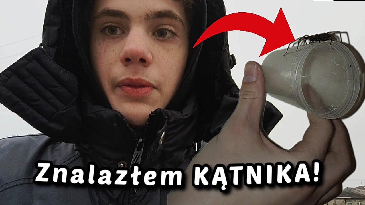 Co żyje zimą w 2026 roku? | #WTERENIEPOLSKI 14