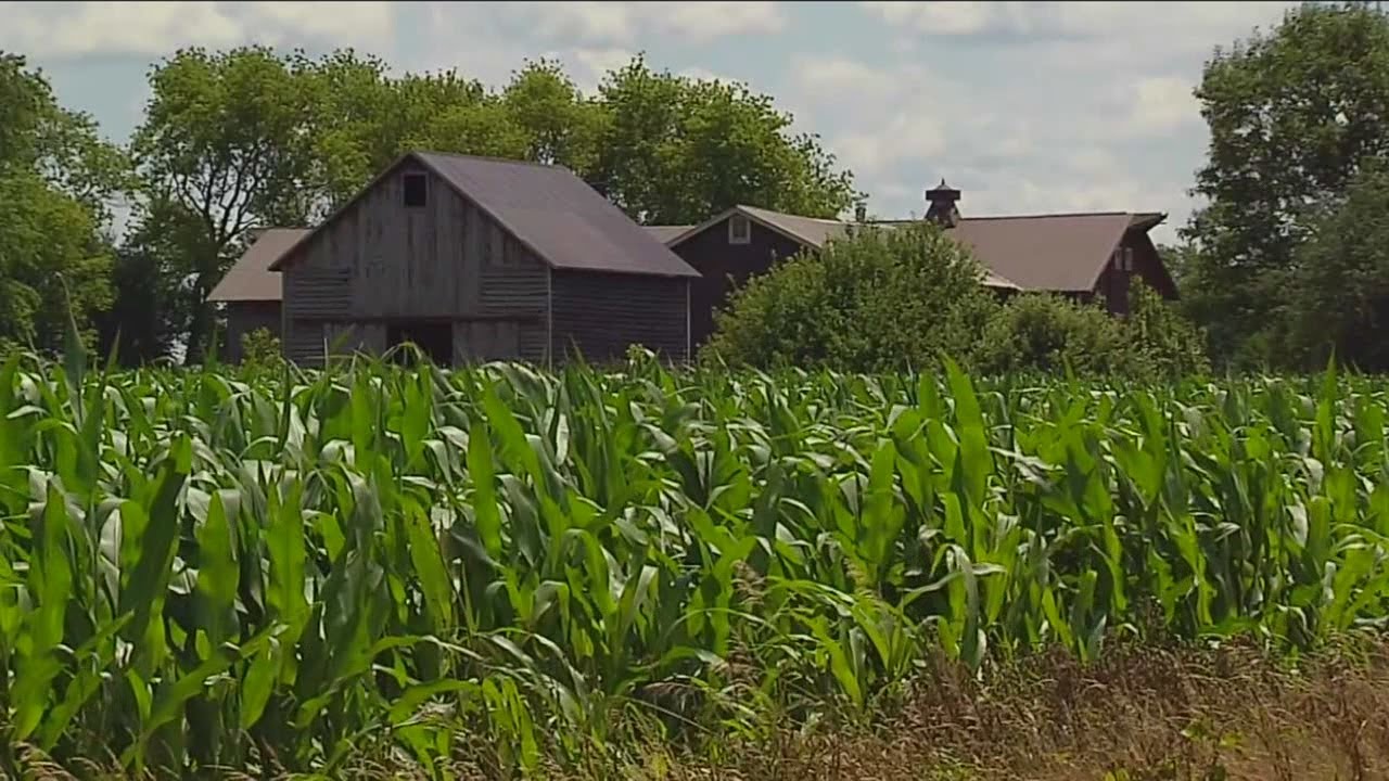 Boy shot in Walworth County declared brain dead, police ID victim