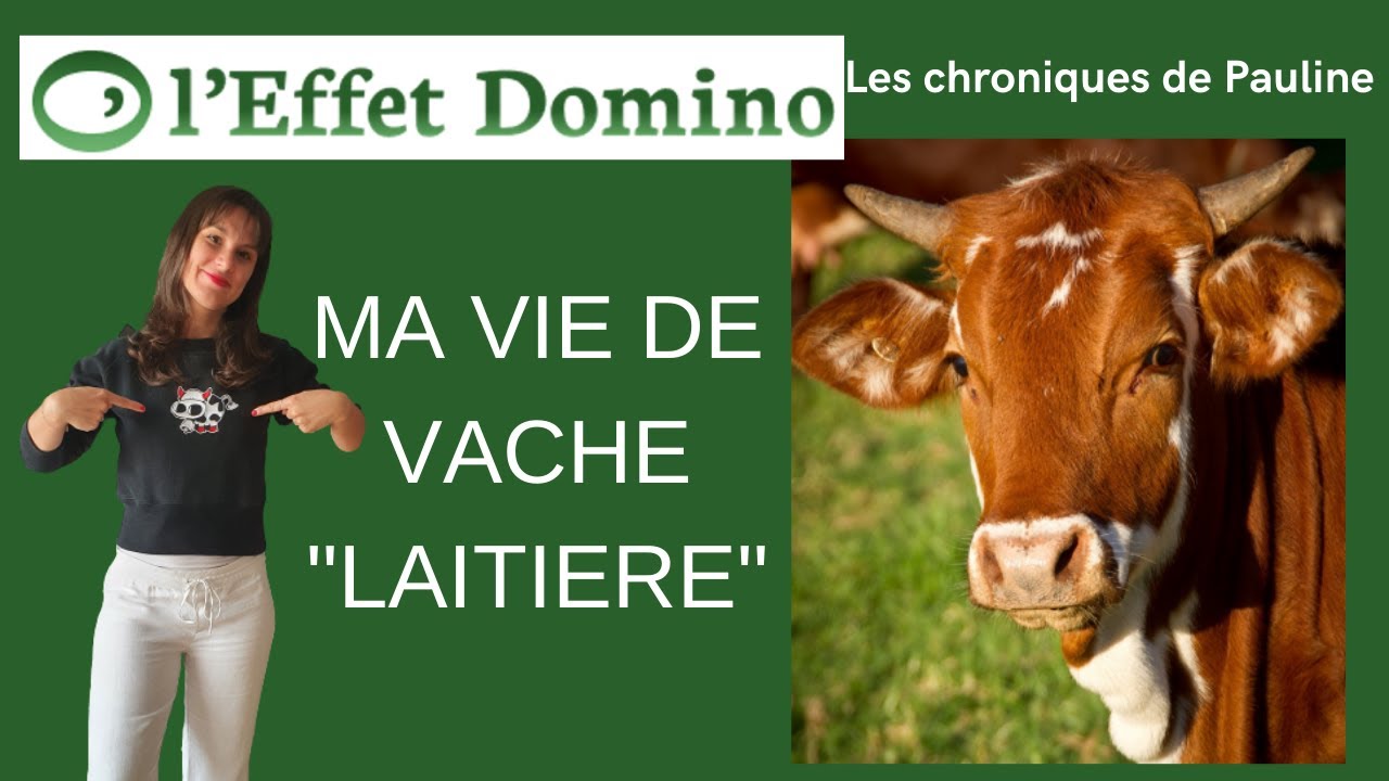 Ma vie de vache 