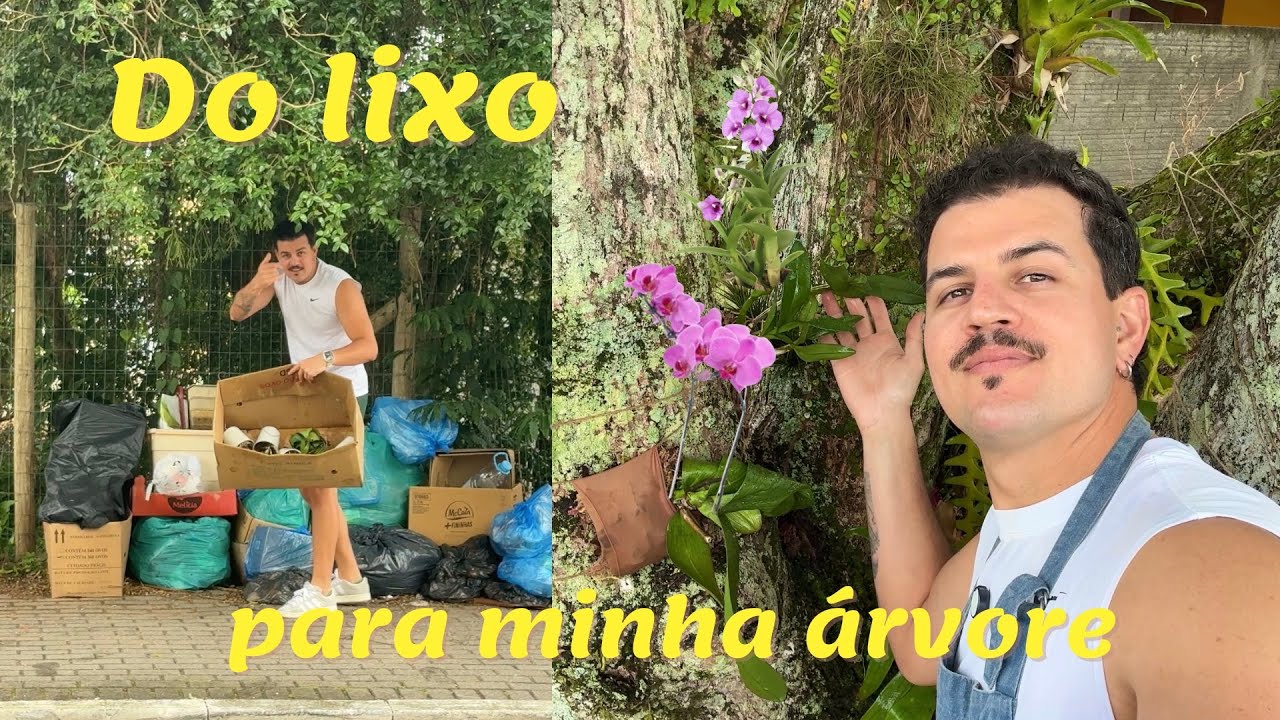 O Resgate das orquídeas do lixo | como plantar orquídeas nas árvores