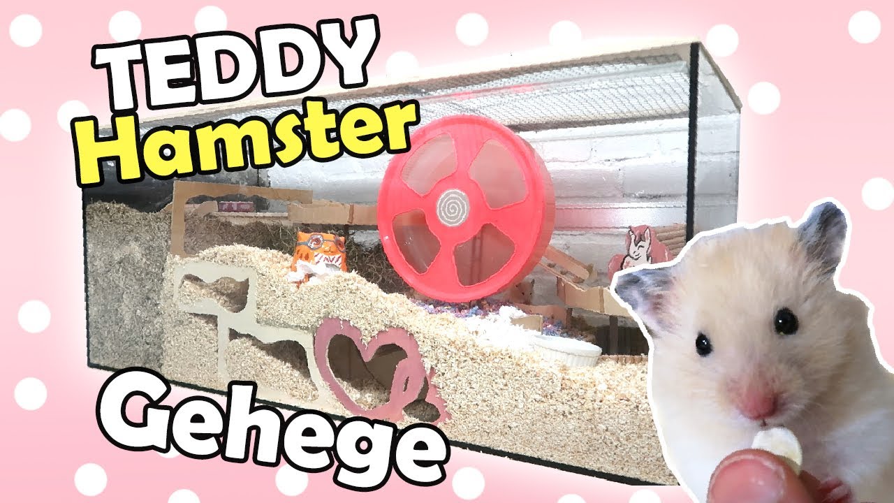 Hamster Gehege einrichten Teddyhamster Pink Edition
