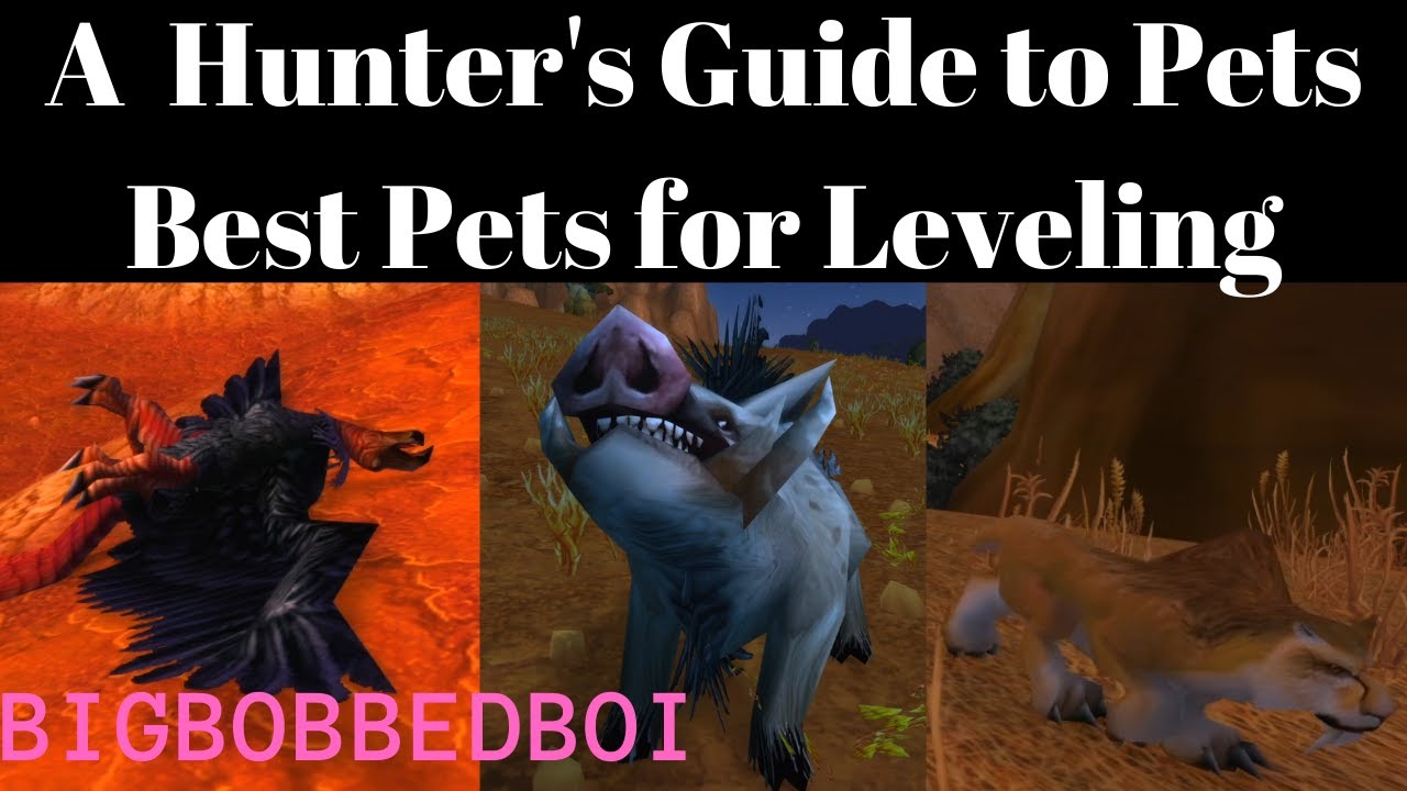 A Hunter's Guide to Pets : Best Pets for Leveling | WoW Classic Tutorial