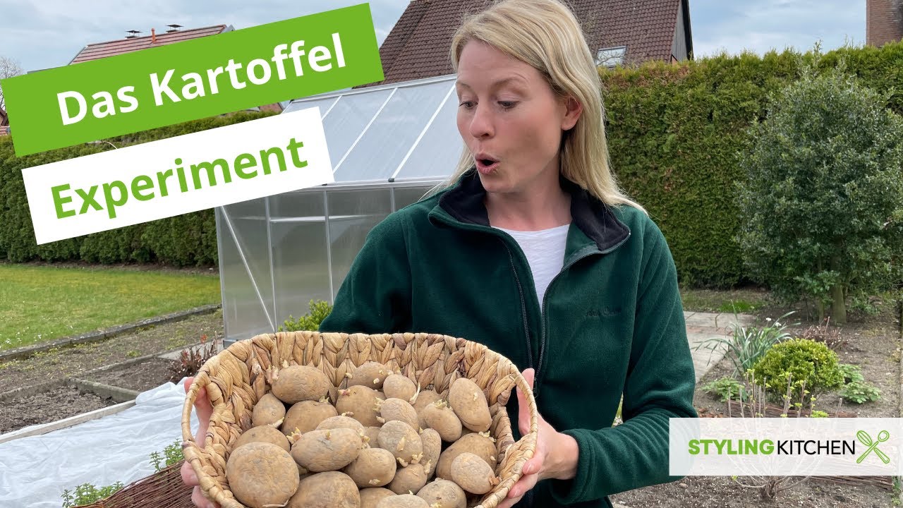 Kartoffeln im eigenen Garten pflanzen / Das Experiment / Stylingkitchen
