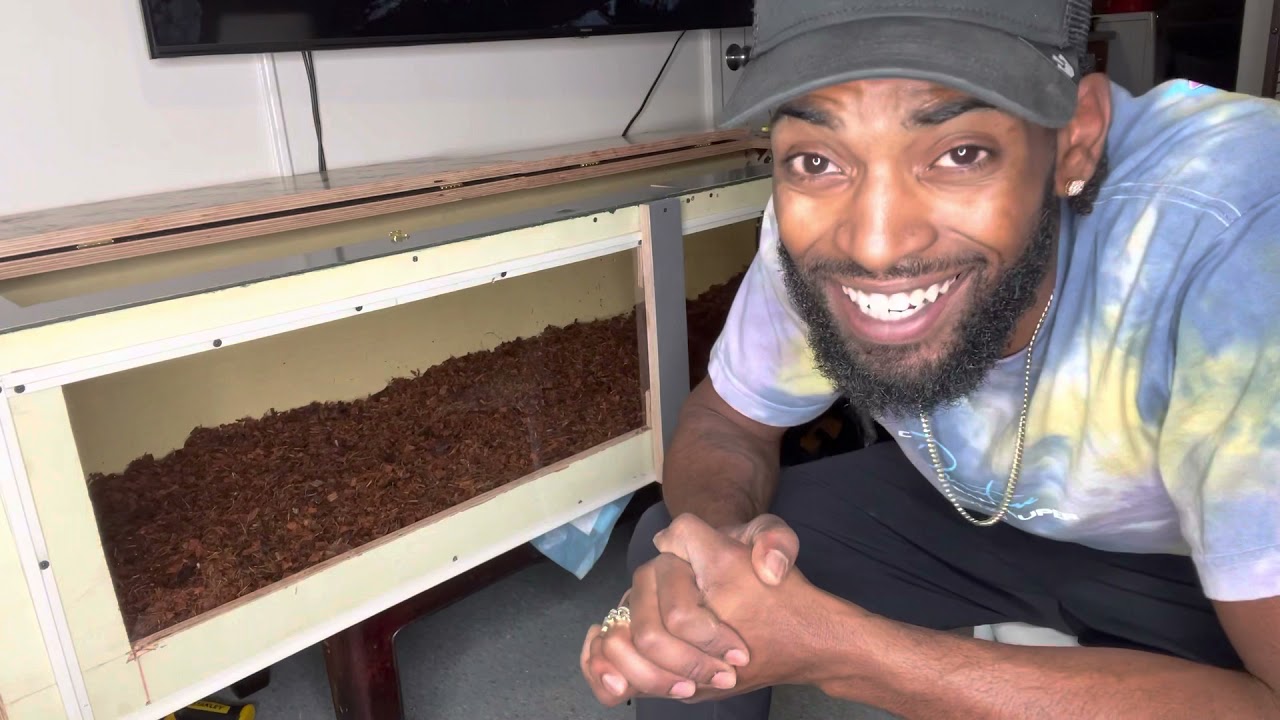 Building A custom enclosure for my 9foot reticulated python