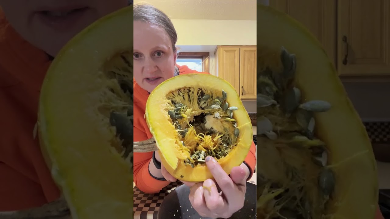 Pumpkin seed  for snacks