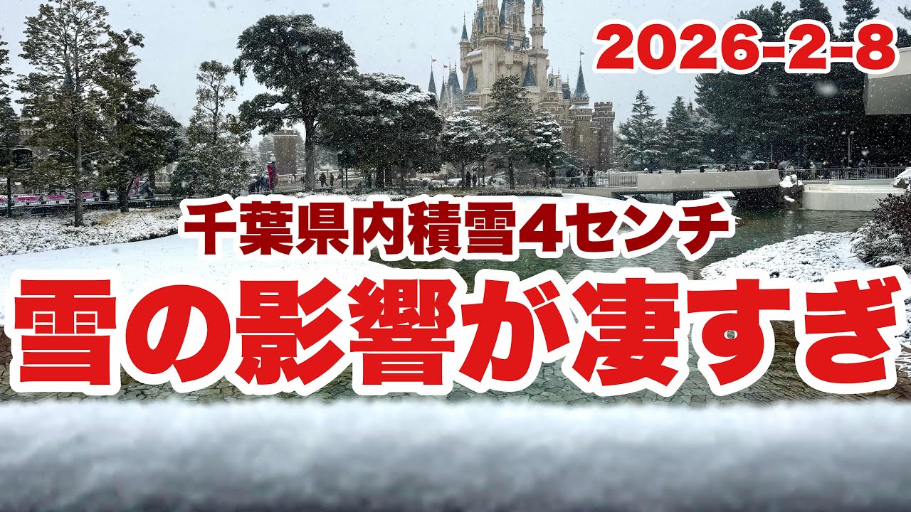 【警報級】大雪の東京ディズニーランドはこんなに様子になっていました（2026-2-8）