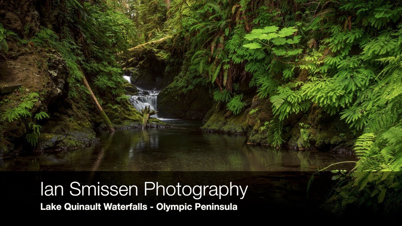Landscape Photography #18 Lake Quinault Falls - Olympic National Park
