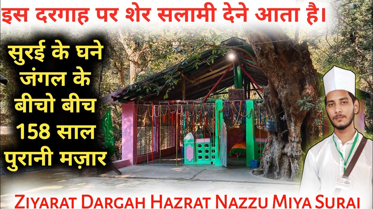 Surai Dargah Sharif Vlog | Tiger Reserve | Hazrat Nazzu Miya | Surai Khatima Jangal | Hasni Network