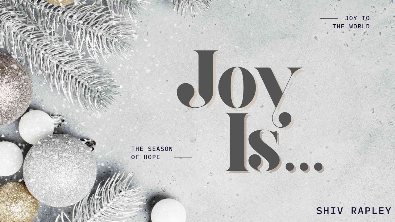Joy Is… 17th Dec 2023 - Shiv Rapley