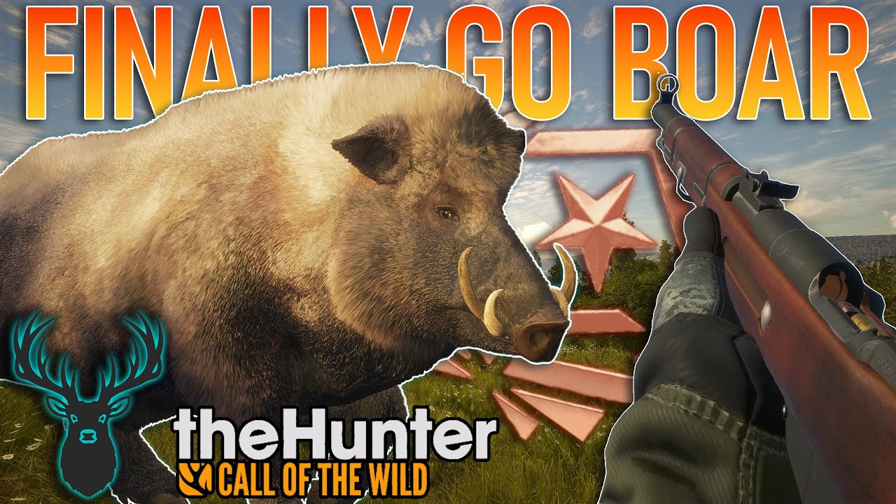Наконец-то я получил своего великолепного кабана! | theHunt Зов дикой природы