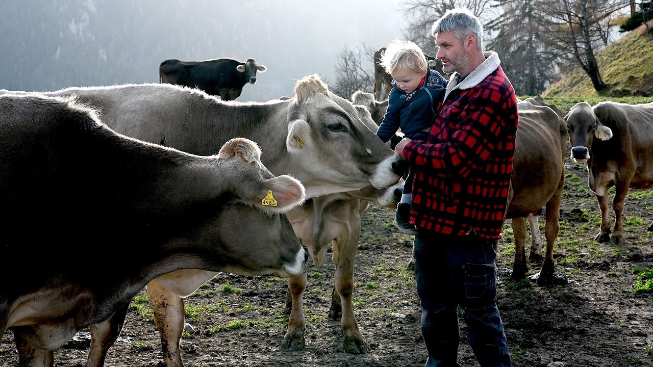 Neuer Laufstall fürs Tierwohl – unterstützen Sie Familie Accola in Alvaneu Bad/GR