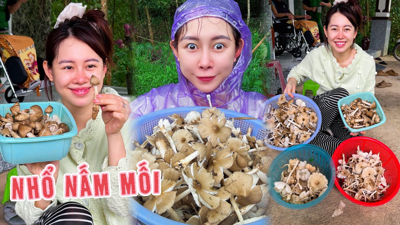 Về Quê Hái Nấm Mối Quá Đã !!!