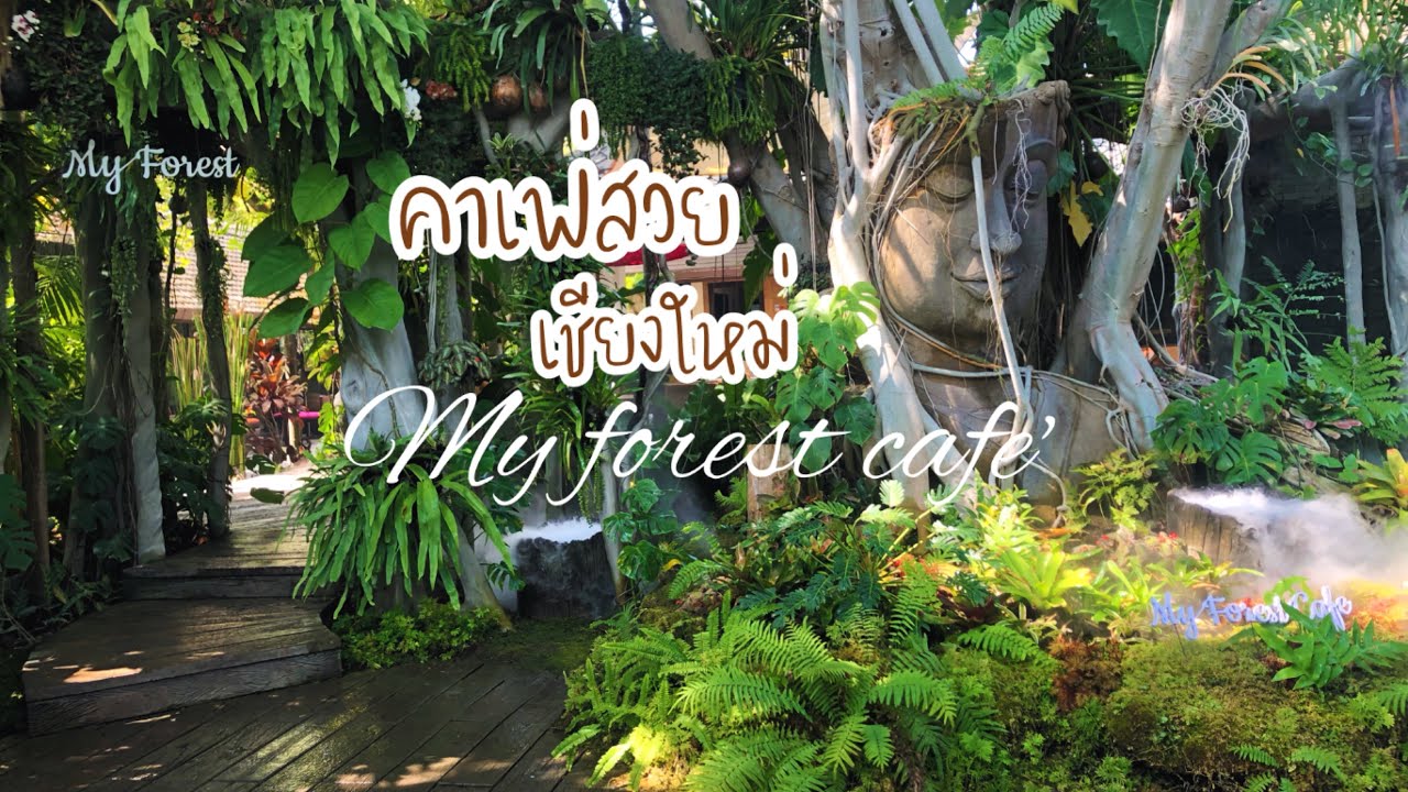 My forest cafe ร้านกาแฟสวยๆเปิดใหม่|เชียงใหม่|Vlog|