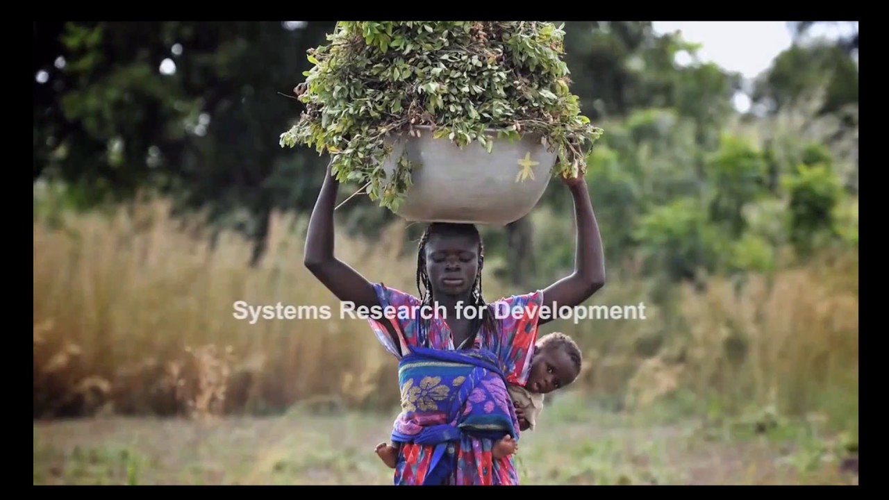 Systems Research for Development - Fergus Sinclair, Leader Systems
