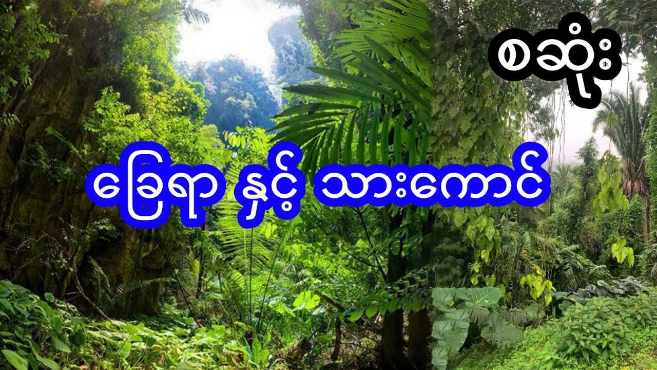 မုဆိုး သားကောင်နောက်ခြေရာခံလိုက်မိတဲ့အခါ - စဆုံး