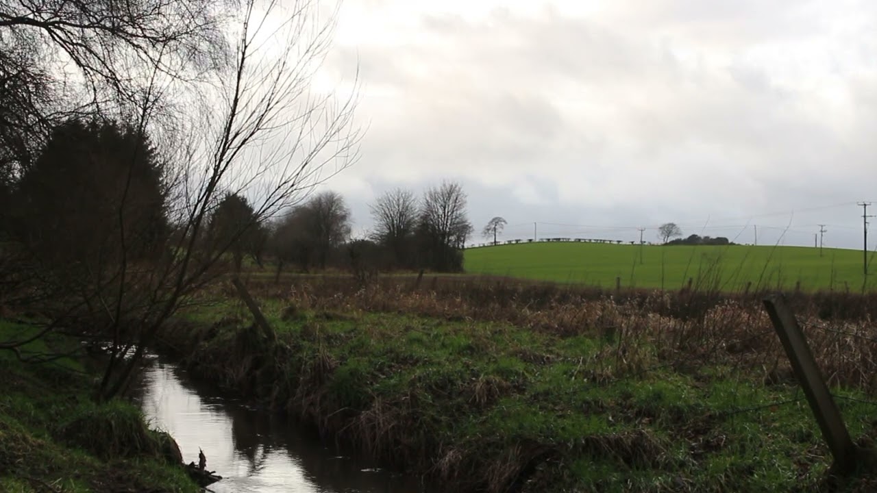 Garnkirk Burn - Stepps