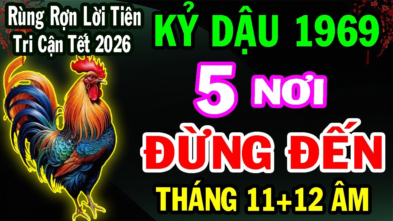 Kỷ Dậu 1969 – 2 Tháng Cuối Năm 2025: 5 Nơi Tuyệt Đối Không Nên Đặt Chân Đến Để Tránh Phiền Phức!