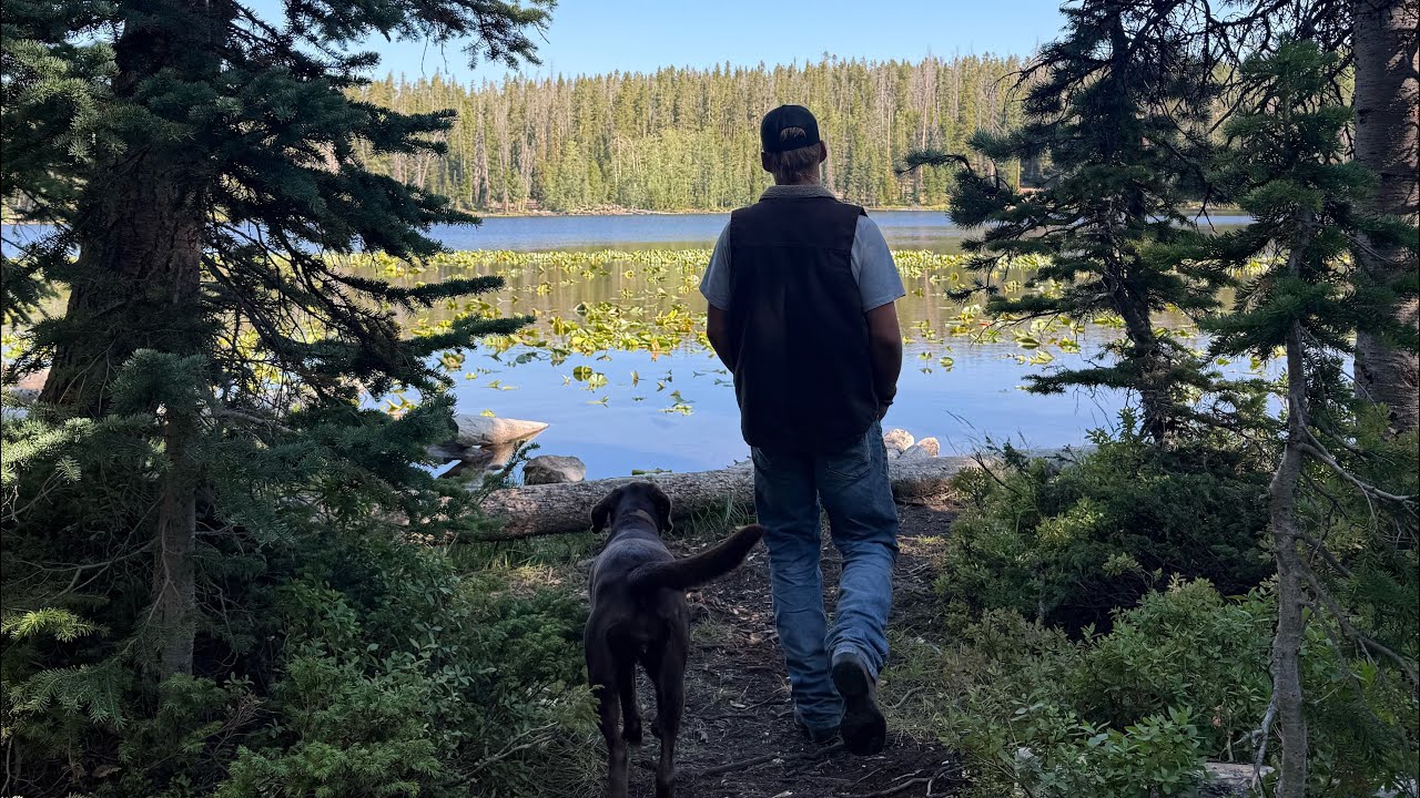 Camping in the Uintas with my girlfriend & dog - making a rock stove in the mountains