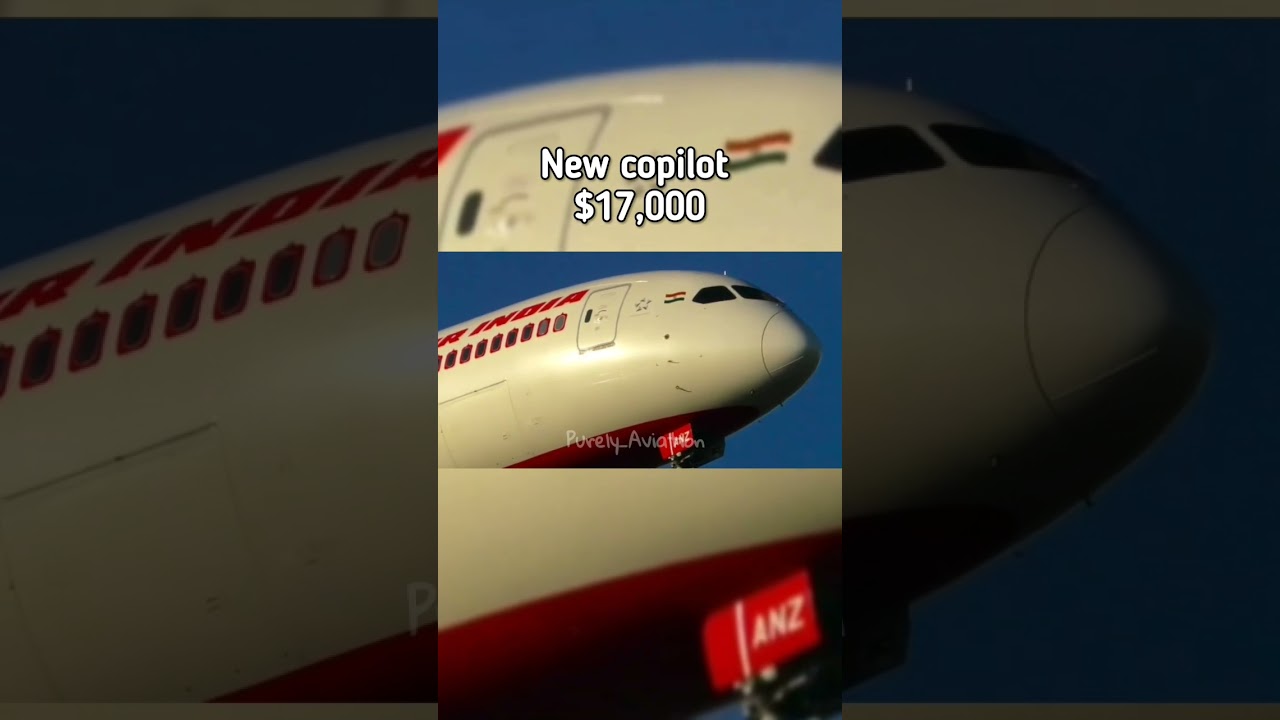How much money do Air India pilots make 🇮🇳 #aviation #pilots #salary #airindia