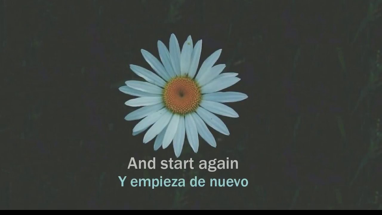 Medicine - Daughter /letra y traducción/