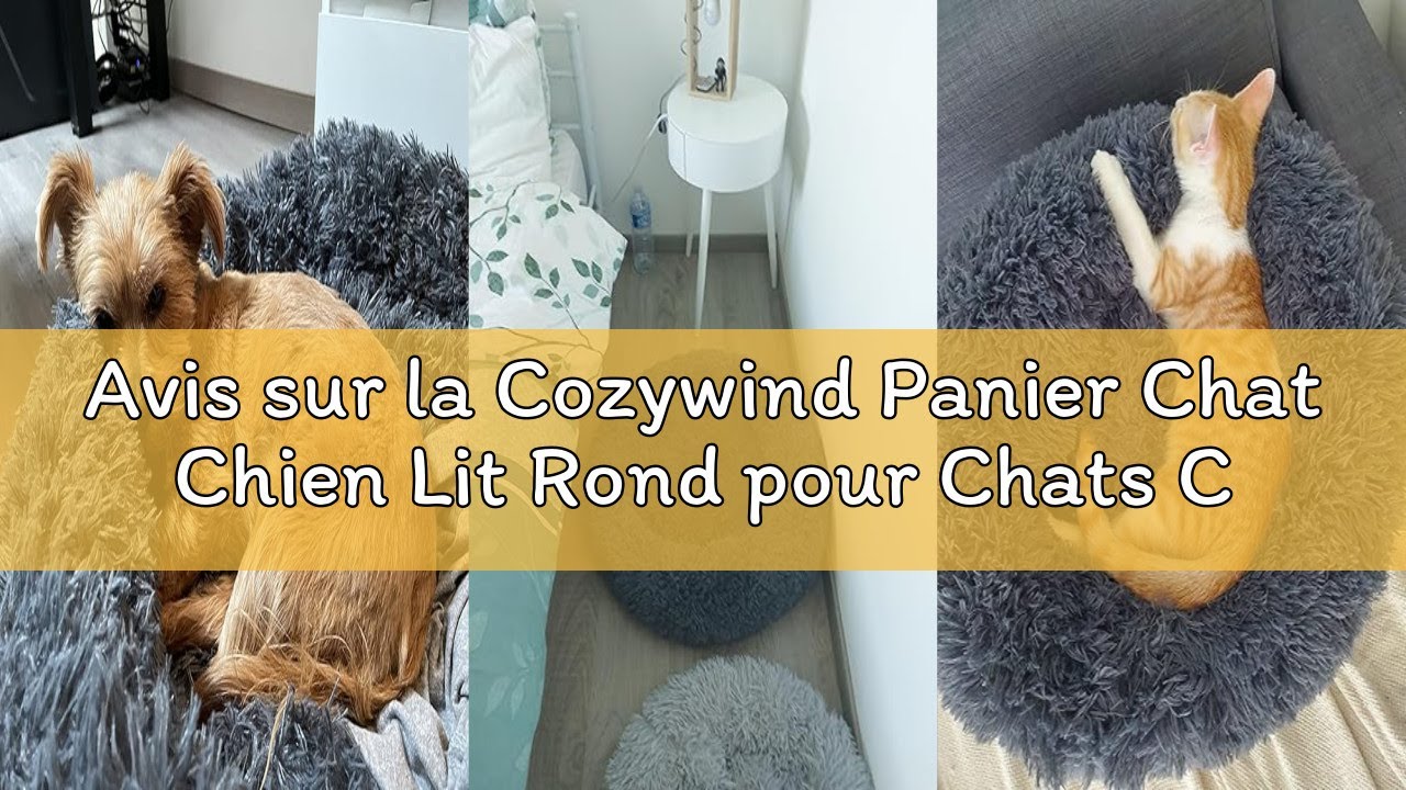 Avis sur la Cozywind Panier Chat Chien Lit Rond pour Chats Chiens Peluche Coussin pour Animaux de Co