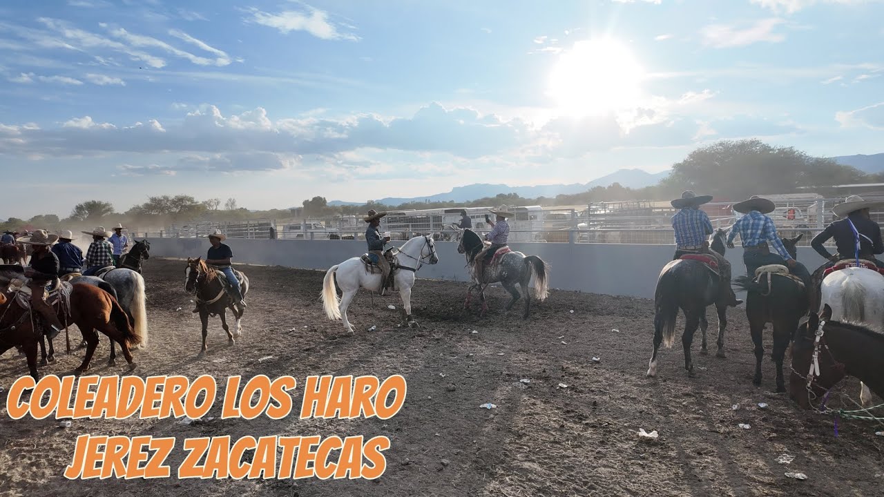 Hay Billetes en LOS HARO JEREZ ZACATECAS 🇲🇽👽🐴📹❤️‍🔥#caballos#viral#jerezzacatecas#video 