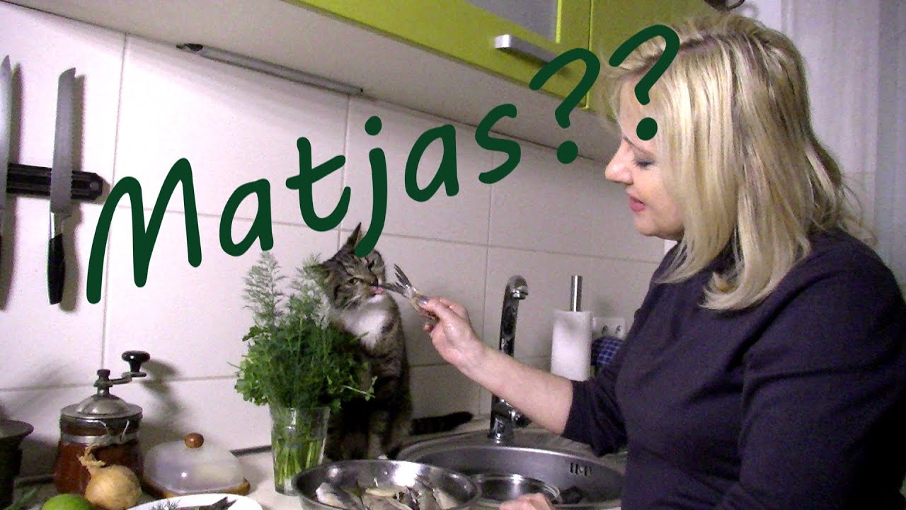 Matjas/A'la Matjas |Bez Przepisu #26