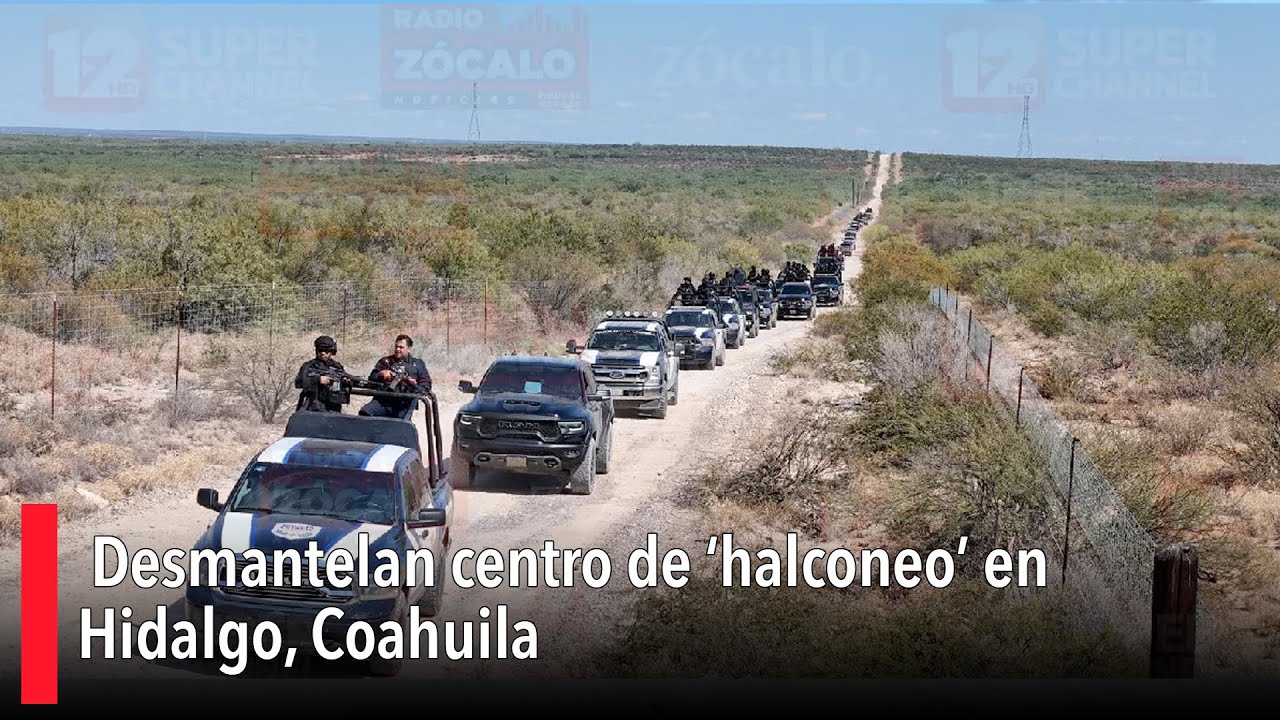 Desmantelan centro de ‘halconeo’ en Hidalgo, Coahuila