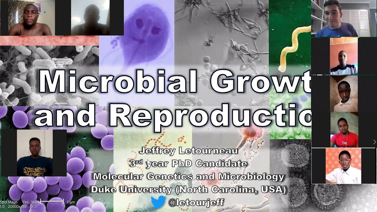 Remote Lecture to Support African Students: Microbial Growth and Reproduction by Jeffery Letourneau