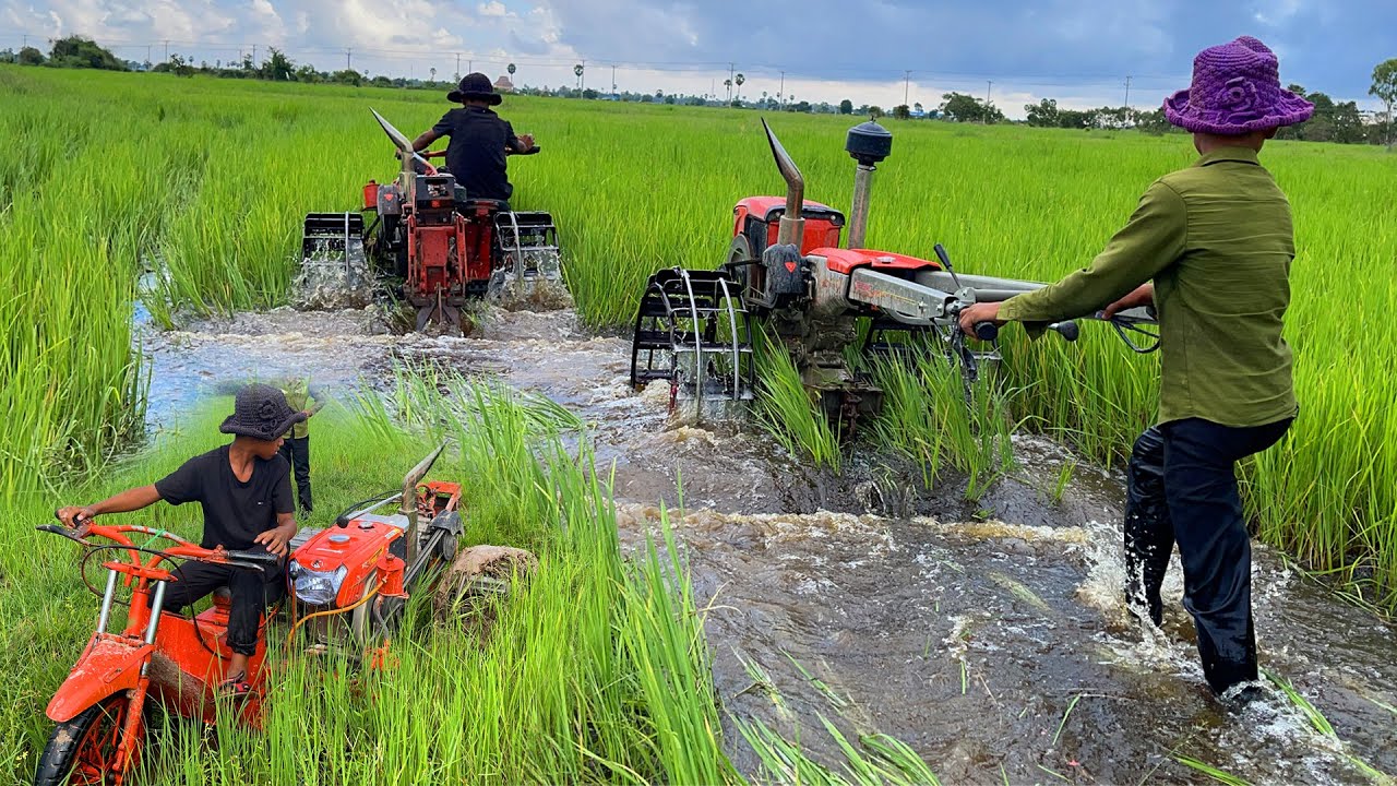 -vlog237-ZT Vs RT Plow Rice Stuck