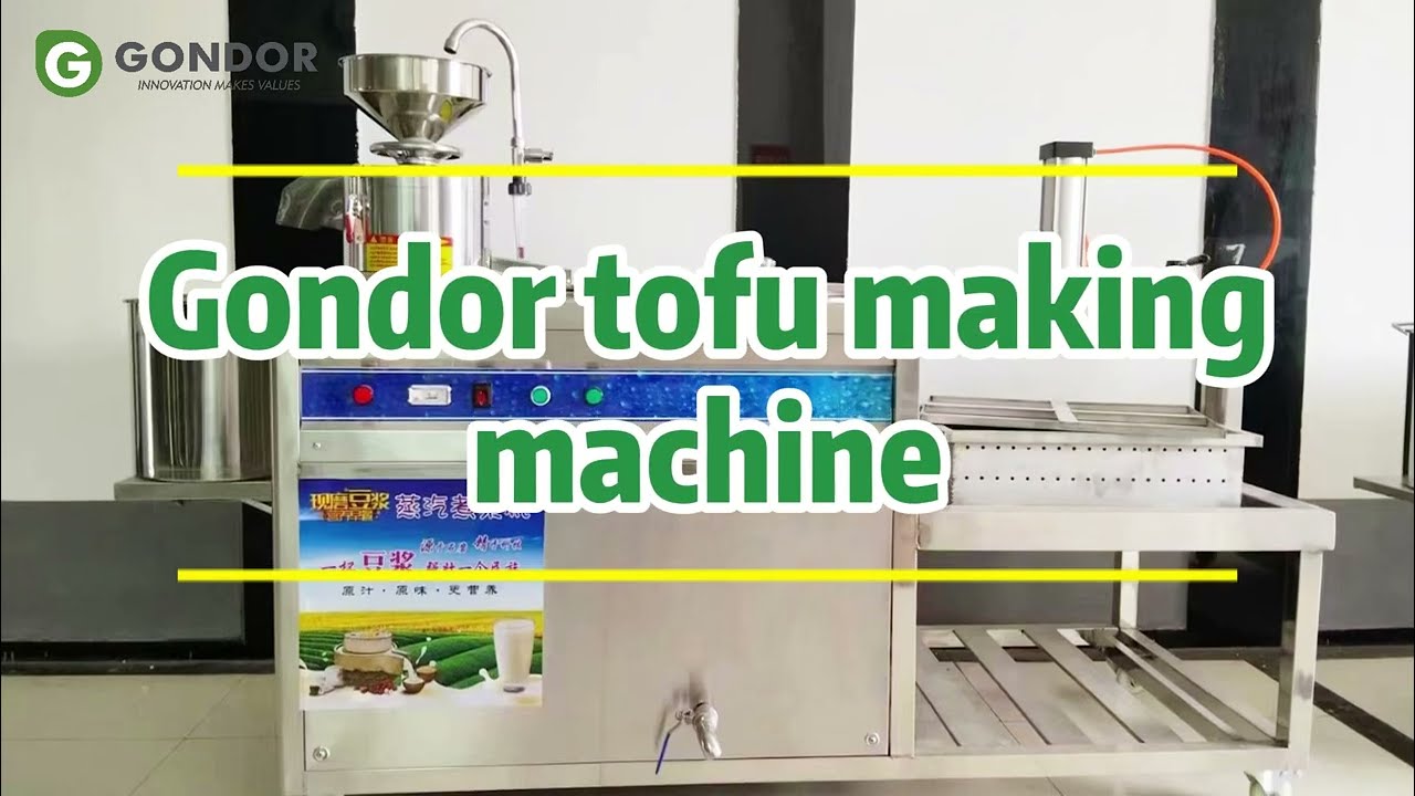 🌱 Soya Tofu Making Machine | Gondor Automatic Tofu Making Machine for Smart Production