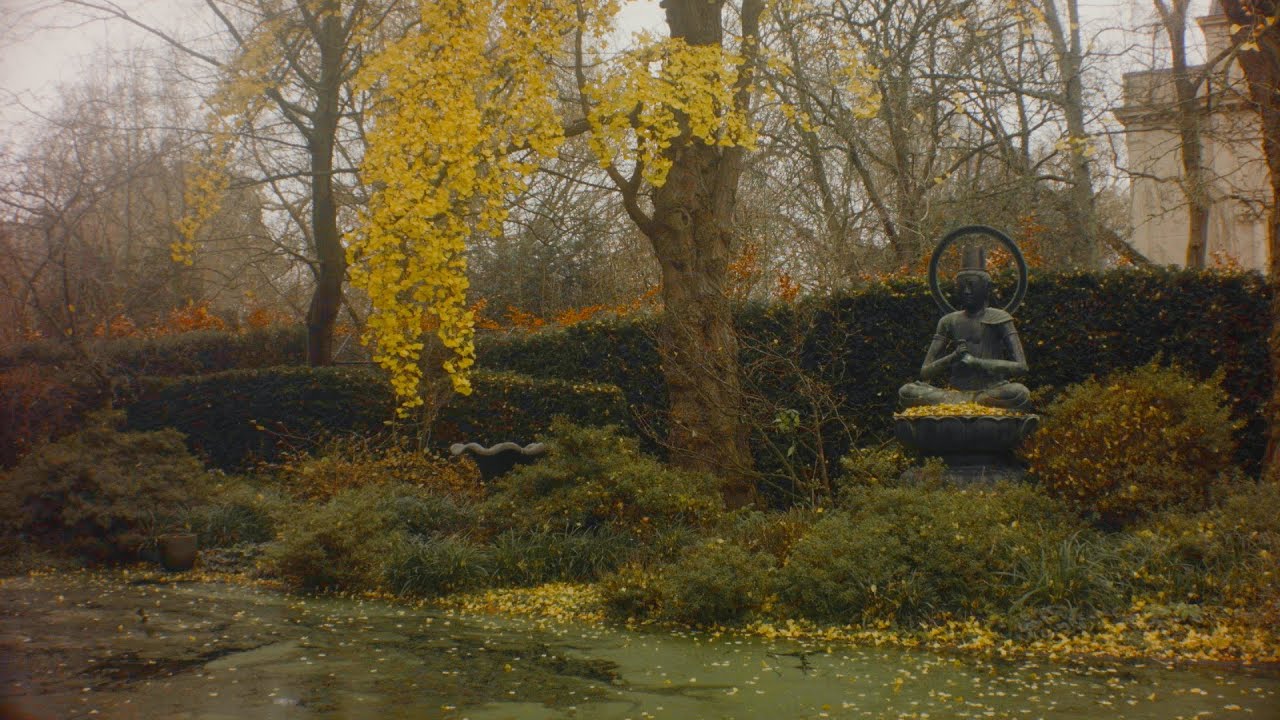 2025 Artis ZOO Amsterdam #amsterdam #amsterdam  #artiszoo