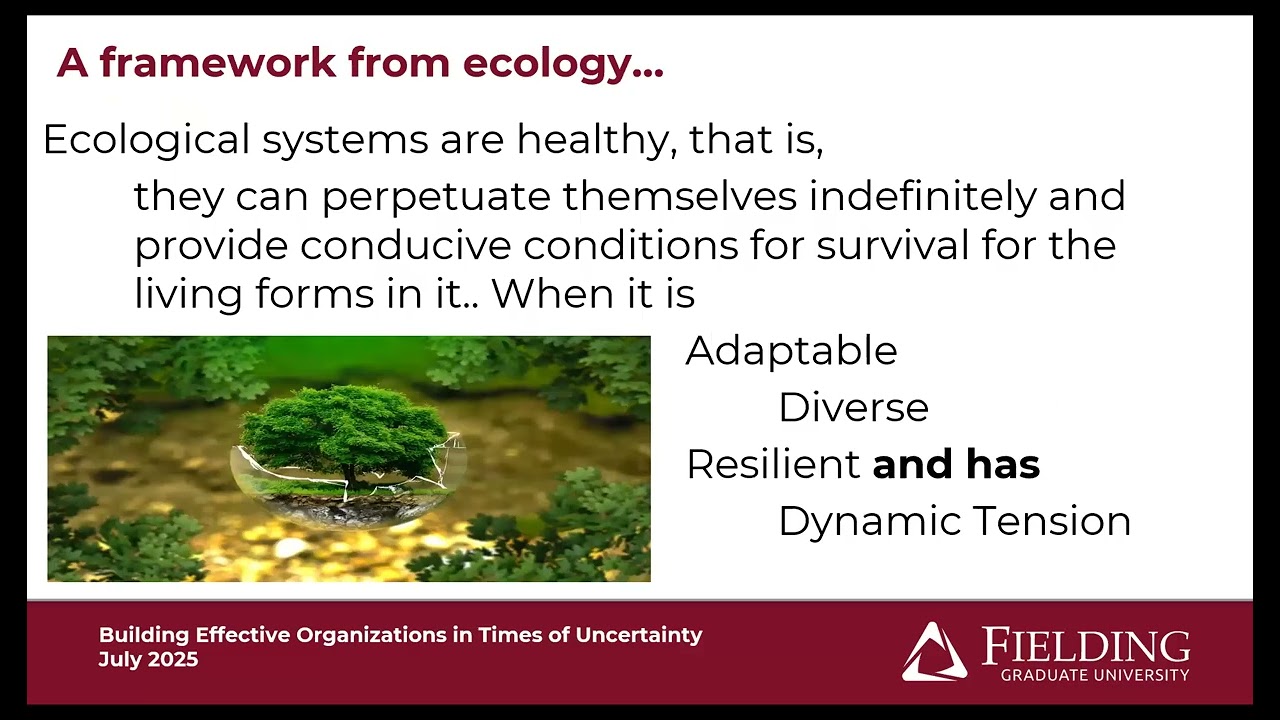 Building Effective Organizations in Uncertain Times