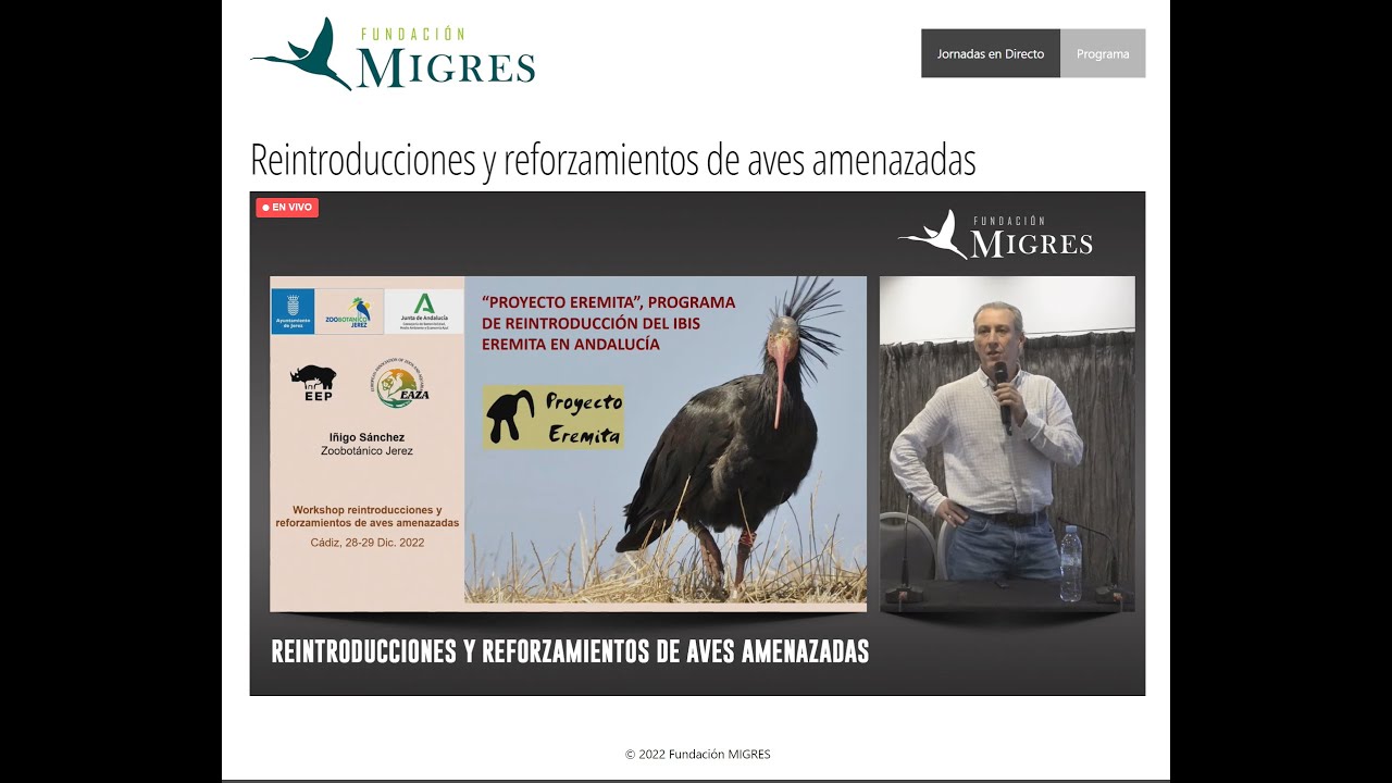 Ponencia “Proyecto introducción del Ibis eremita” de Íñigo Sánchez, Zoo-Botánico de Jerez