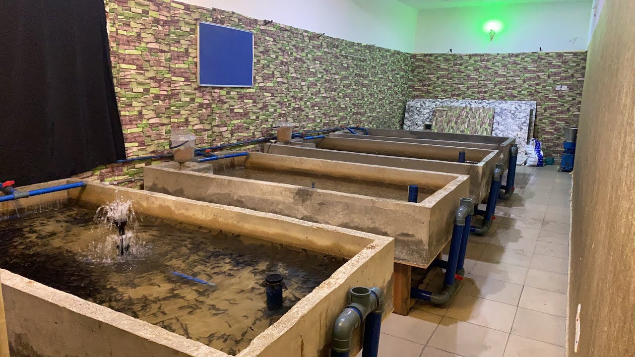 Рыбоводческий комплекс Fish Academy